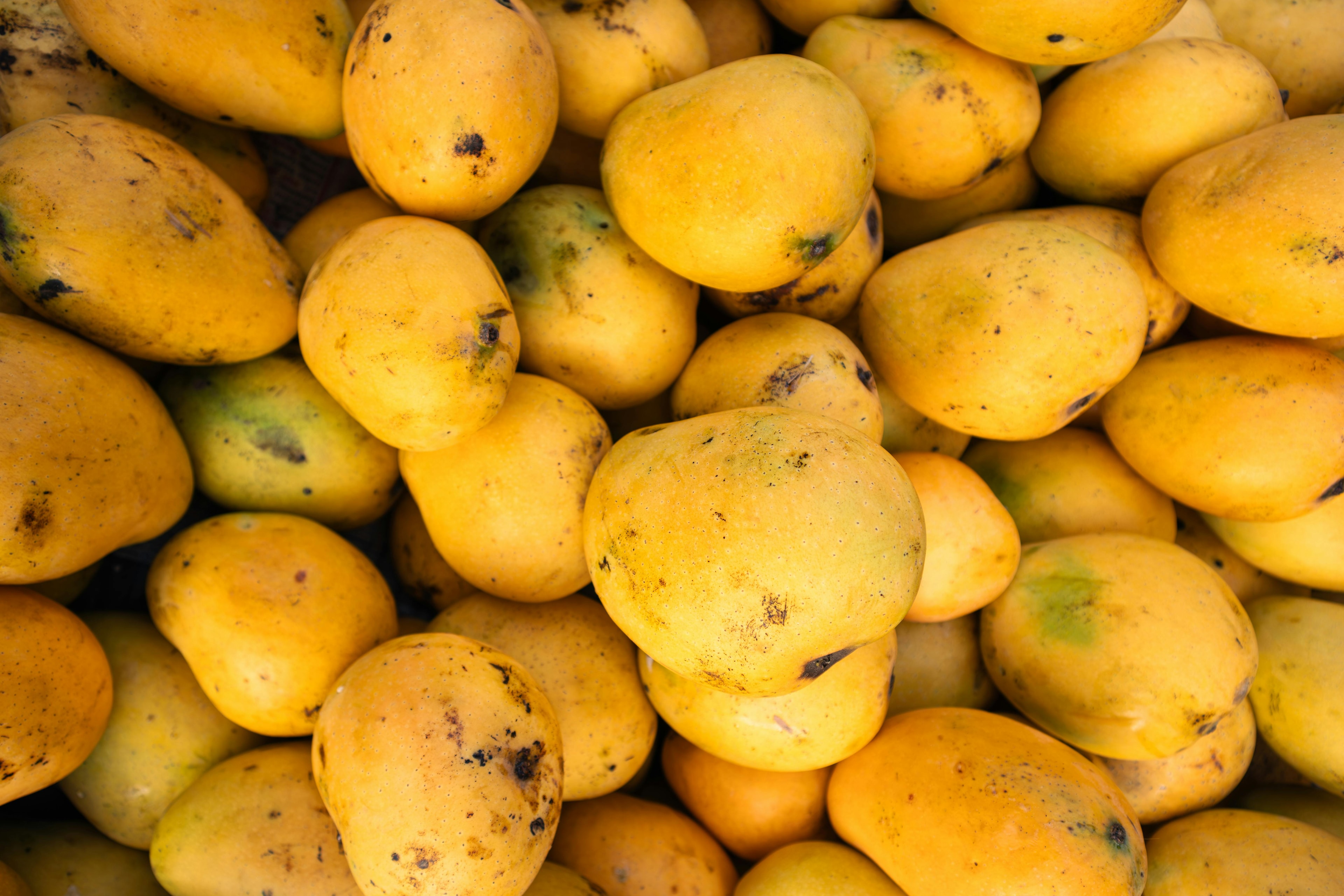 Premium Mangoes